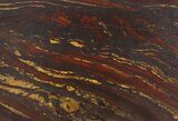 Tiger Iron Stromatolite Shower Tile - Billion Years Old #48783-1